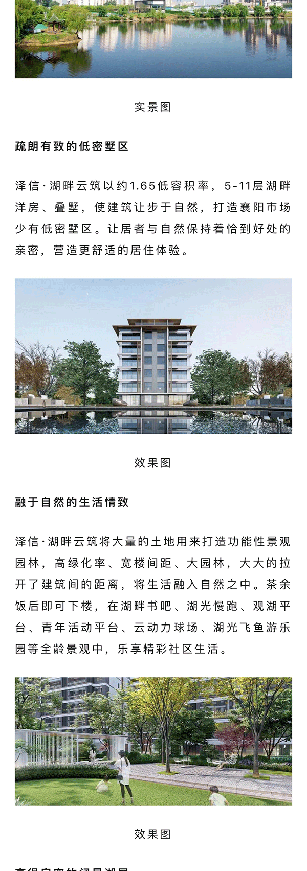 澤信_02.gif
