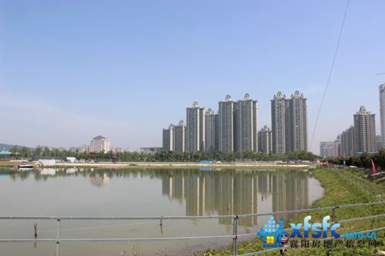 驤龍國際.jpg
