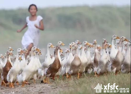 微信圖片_20170908155512.jpg