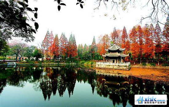 襄陽(yáng)12.jpg