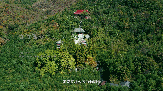 WeChat 圖片_20191011142202.gif